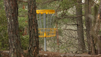 How to Play Disc Golf: What You Need to Know as a Beginner