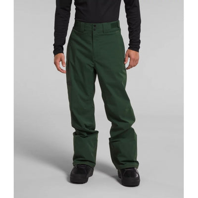 The North Face Men's Freedom Stretch Pant Pine Needle