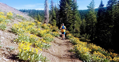 The Ultimate Guide to the Best Trail Runs and Races in Truckee and Lake Tahoe