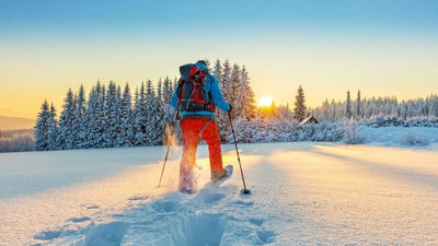 Best Places to go Snowshoeing in Truckee and Lake Tahoe