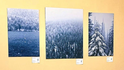 Outdoor Inspired Art Hits the Walls of Tahoe Mountain Sports