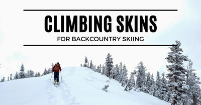 We Tested 6 Climbing Skins for Backcountry Skiing. Here's How They Stack Up.