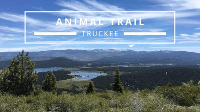Enjoy Scenic Vistas on the Animal Trail