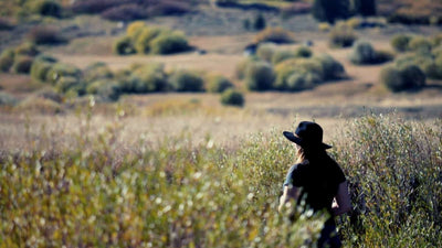 The Best Truckee-Tahoe Hikes to Soak Up Fall Colors