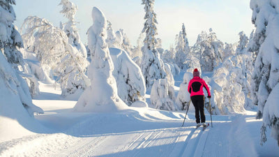 A Beginners Guide To Cross Country Skiing