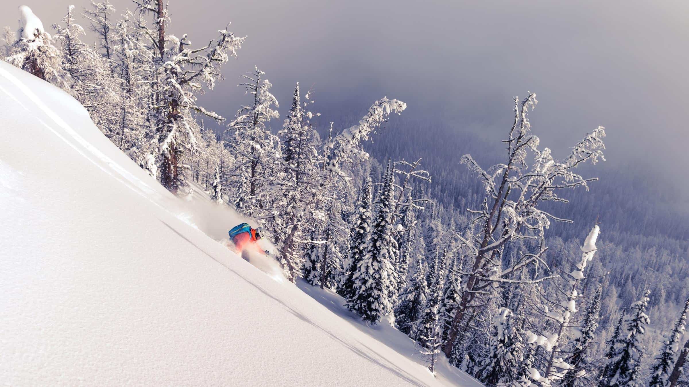 Best Backcountry Equipment for Winter 22/23! Tahoe Mountain Sports