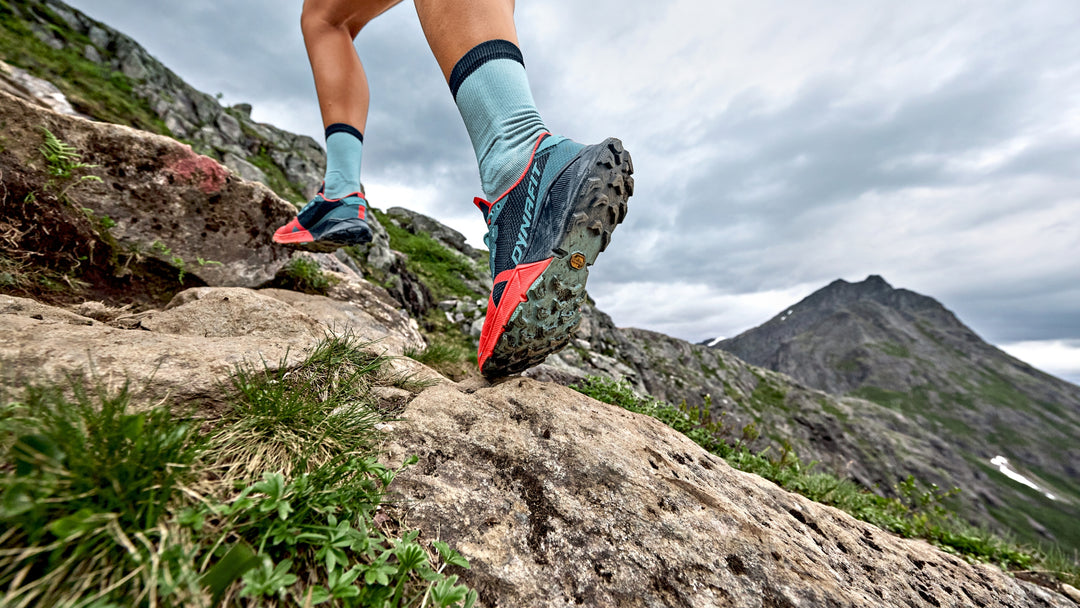 The Best Trail Running Shoes of 2019 Tahoe Mountain Sports