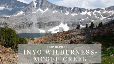 Inyo Wilderness- McGee Creek Paintbrush Adventure