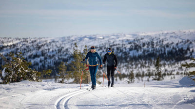 Cross Country Skis 101, Everything You Need to Know About the Different Disciplines