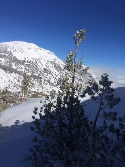 Backcountry Skiing Mount Rose Wilderness
