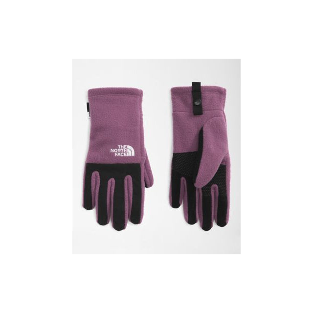 The North Face Youth Denali Etip Glove Pikes Purple